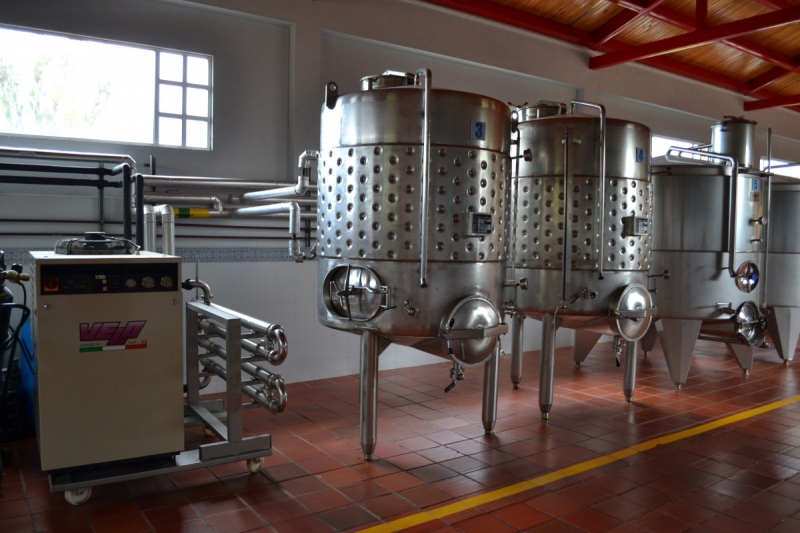 cave-PEYMEINADE-min_wine_production_cantine_winery_drink_alcohol_vine_beverage-902036